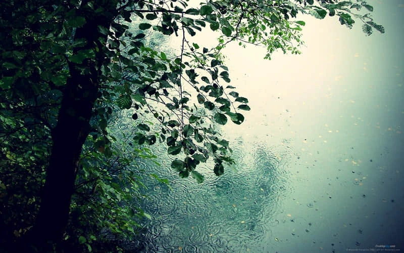 为什么封闭训练是提高篮球水平的有效途径_1